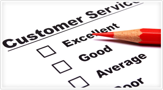 Client Survey Graphic With Checkboxes
